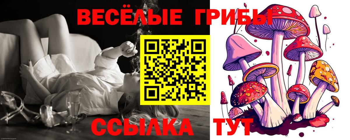 Галлюциногенные грибы Psilocybe  Псилоцибиновые грибы мухоморы  Вход с VPN  Кыштым 